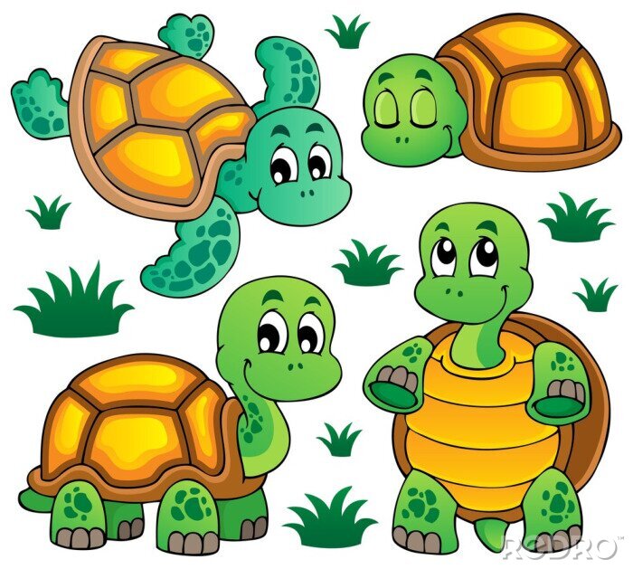 Papier peint  Quatre tortues mignonnes dans des poses différentes