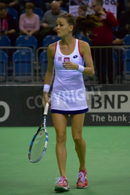 Papier peint  Radwanska entre sur le court