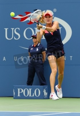 Papier peint  Radwanska pendant le jeu