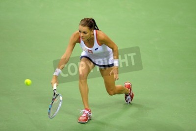 Papier peint  Radwanska sur le court