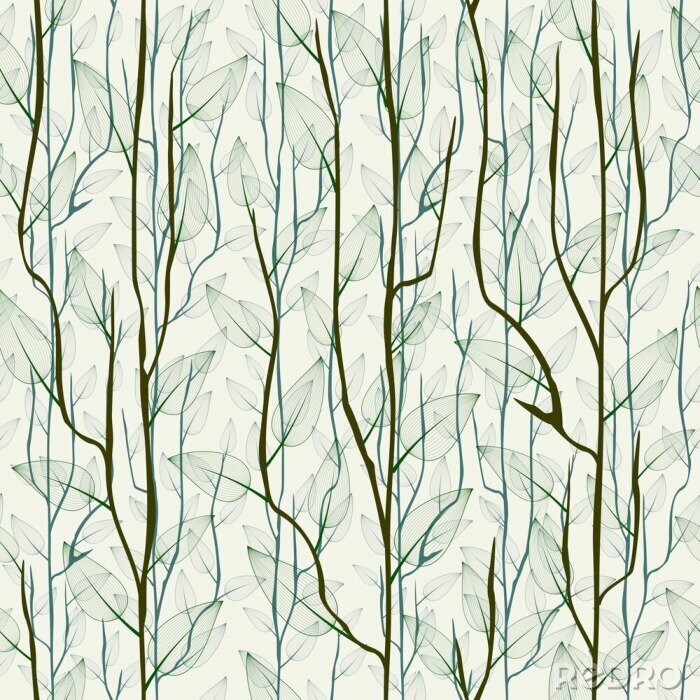 Papier peint  Rameaux de bouleau délicats