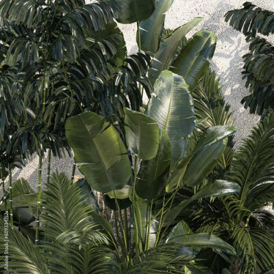 Papier peint   Realistic garden of tropical plants Strelitzia palm thicket