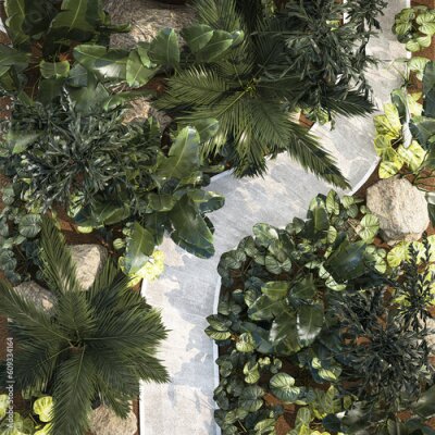 Papier peint   Realistic garden of tropical plants Strelitzia palm thicket