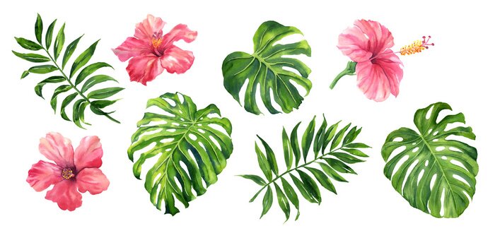 Papier peint  Realistic tropical botanical foliage plants. Set of tropical leaves and flowers: green palm neanta, monstera, hibiscus. Hand painted watercolor illustration isolated on white.