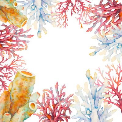 Récif corallien aquarelle dans un cadre