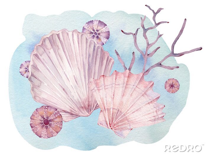 Papier peint  Récif corallien et coquillages en aquarelle