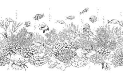 Papier peint  Récif corallien et poissons en noir et blanc