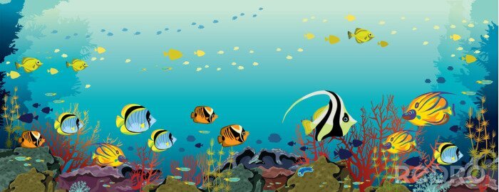 Papier peint  Récif corallien et poissons pour enfants