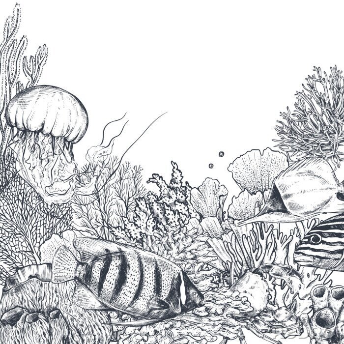 Papier peint  Récif corallien noir et blanc