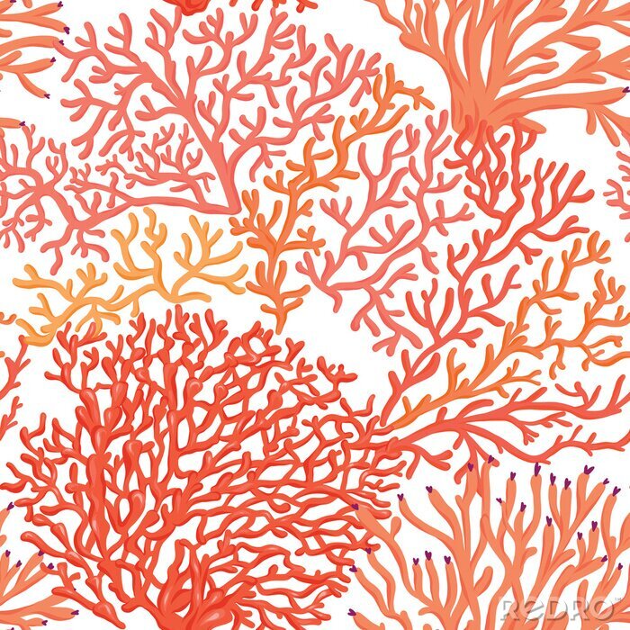 Papier peint  Récif corallien orange