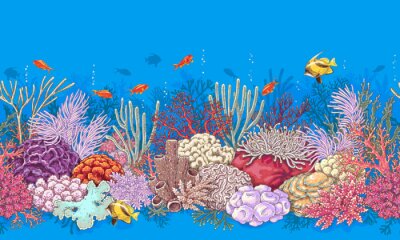 Papier peint  Récif corallien peint