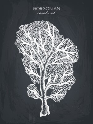 Papier peint  Récif corallien rétro noir et blanc