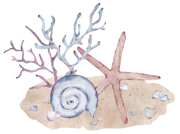 Papier peint  Récif de corail et coquillages à l'aquarelle