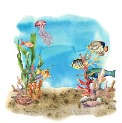 Papier peint  Récifs coralliens et animaux marins