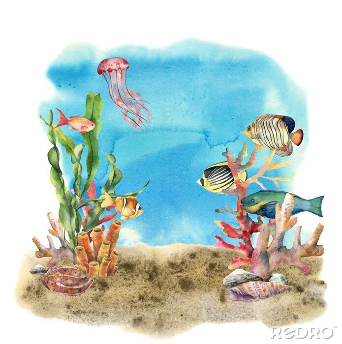 Papier peint  Récifs coralliens et animaux marins