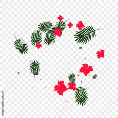 Papier peint  Red Hibiscus Background Transparent Vector. Strelitzia Brazil Texture. Yellow Flora. Popular Card. Pink Branch Frame.