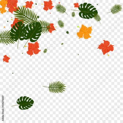 Papier peint  Red Leaf Background Transparent Vector. Strelitzia Trendy Design. Yellow Palm. Rainforest Frame. Light Green Surf Pattern.