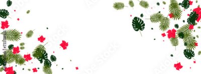 Papier peint  Red Monstera Background White Vector. Strelitzia Aloha Pattern. Pink Leaf. Silhouette Backdrop. Orange Tropical Card.