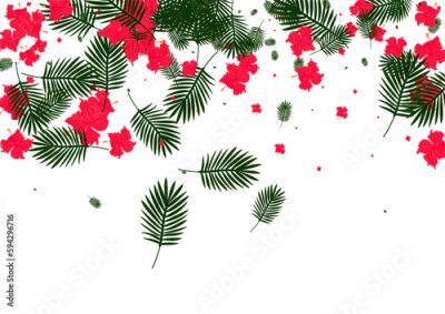 Papier peint  Red Philodendron Background White Vector. Strelitzia Silhouette Pattern. Yellow Monstera. Isolated Illustration. Light Green Fashion Design.