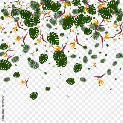 Papier peint  Red Plant Background Transparent Vector. Strelitzia Color Design. Yellow Hibiscus. Ornament Texture. Green Brazil Illustration.
