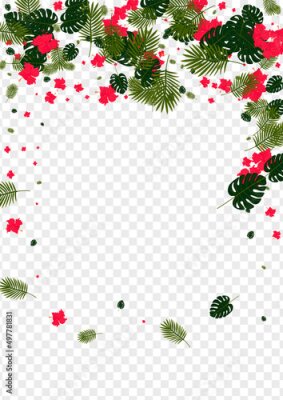 Papier peint  Red Strelitzia Background Transparent Vector. Flora Aloha Pattern. Yellow Philodendron. Realistic Frame. Light Green Garden Texture.