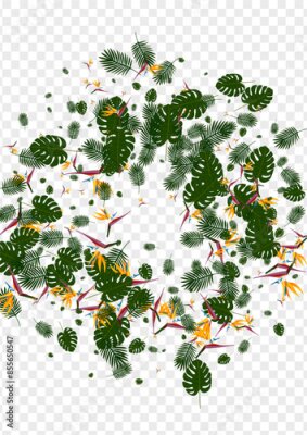 Papier peint  Red Strelitzia Background Transparent Vector. Flower Miami Design. Green Flora. Branch Illustration. Yellow Hawaiian Card.