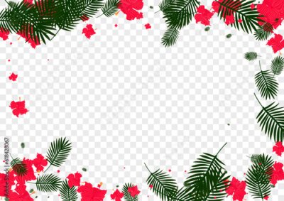 Papier peint  Red Strelitzia Background Transparent Vector. Palm Bright Frame. Green Leaves. Holiday Pattern. Pink Stylish Design.