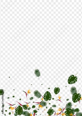 Papier peint  Red Strelitzia Background Transparent Vector. Tree Stylish Design. Yellow Hibiscus. Nature Pattern. Green Spring Backdrop.