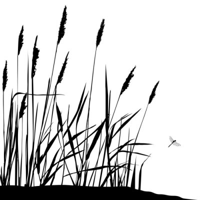 Reed et voler libellule - noir et blanc vecteur Illustration