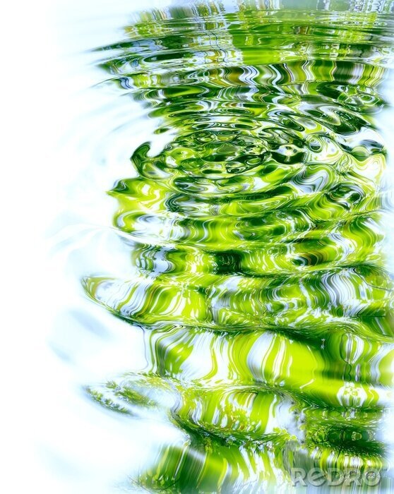 Papier peint  Réflexion de la forêt et du soleil dans l'eau.