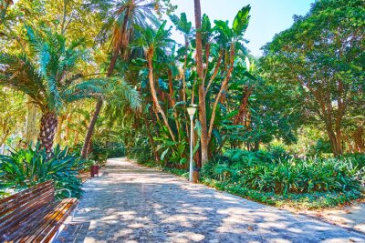 Papier peint  Relax in Malaga park, Spain