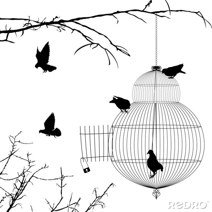 Papier peint  Représentation d'oiseaux en noir et blanc près d'une cage