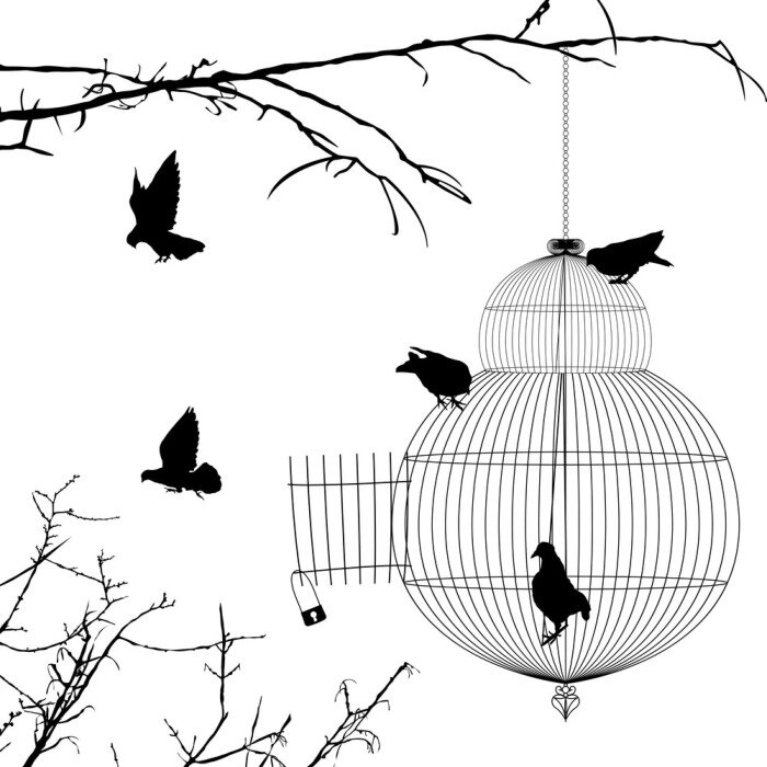 Papier peint  Représentation d'oiseaux en noir et blanc près d'une cage