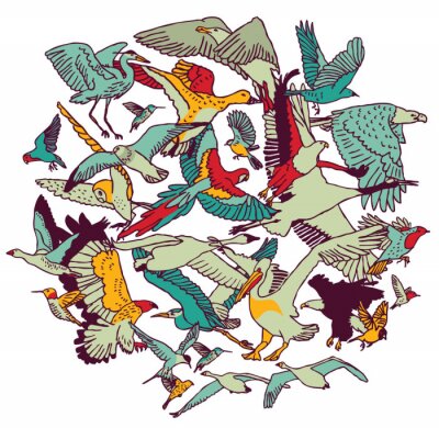 Papier peint  Représentation graphique de différents oiseaux