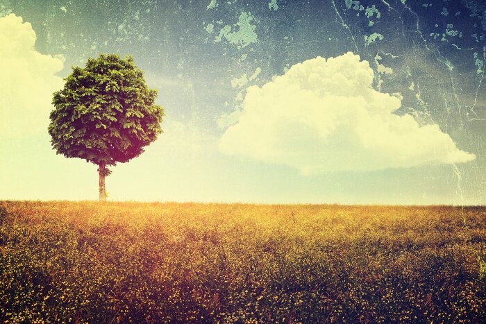 Papier peint  Rétro paysage avec des nuages