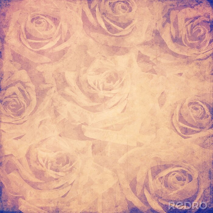 Papier peint  Rétro roses en sépia