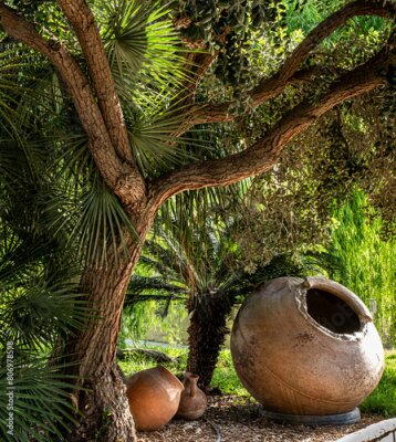 Papier peint  Rich and beautiful Flora, as strelitzia, bougainvillea, fog tree, and other plants, as aseenin Hylatio Tourist Village, Pissouri Village, Limassol, Cyprus