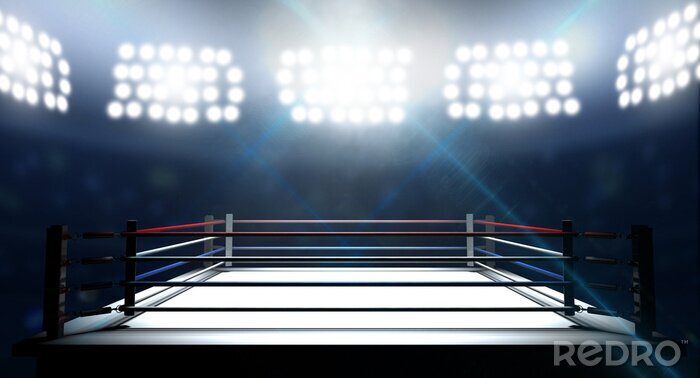 Papier peint  Ring de boxe vide dans une arène