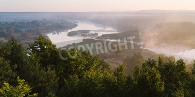 Papier peint  Rivière au milieu de la forêt