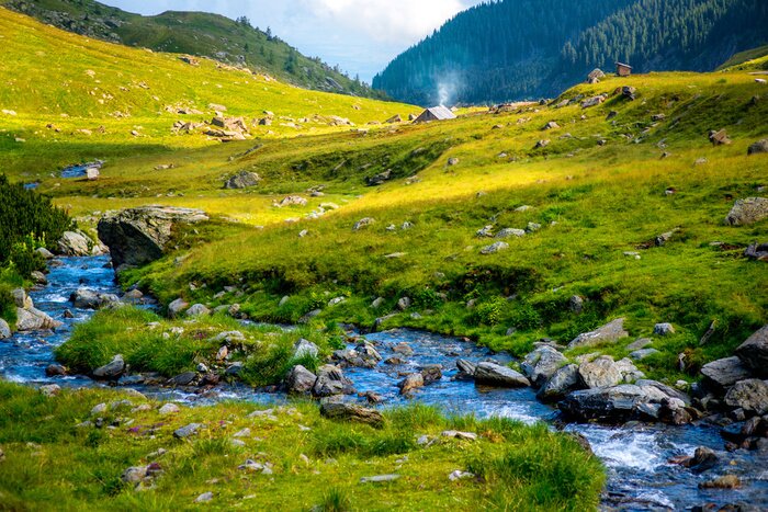 Papier peint  Rivière de montagne