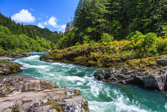 Papier peint  Rivière de montagne dans le parc national North Cascades
