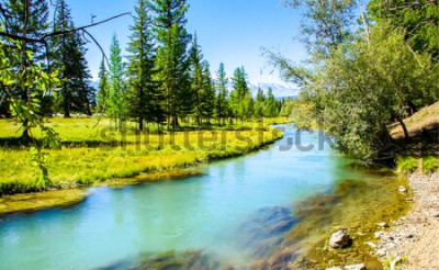 Papier peint  Rivière et forêt