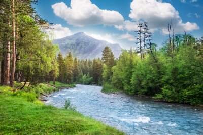 Papier peint  Rivière et forêt dans les montagnes