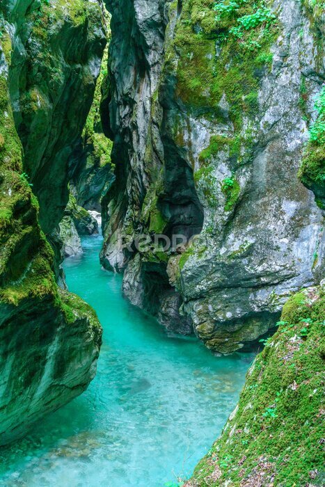 Papier peint  Rivière vert émeraude, l’Isonzo dans un parc national de Slovénie