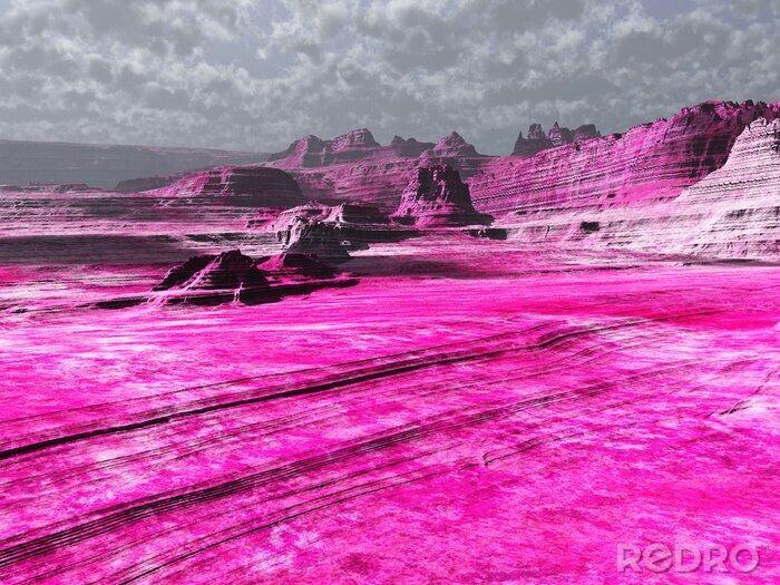 Papier peint  rosas tierras