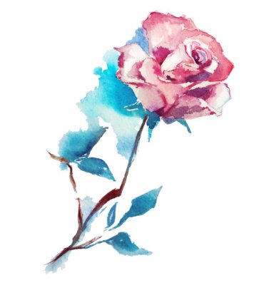 Papier peint  Rose couleur rose peinte à l'aquarelle