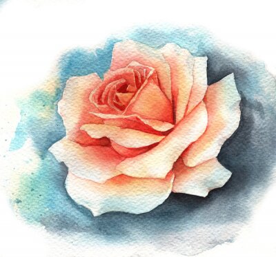 Rose crème peinte à l'aquarelle