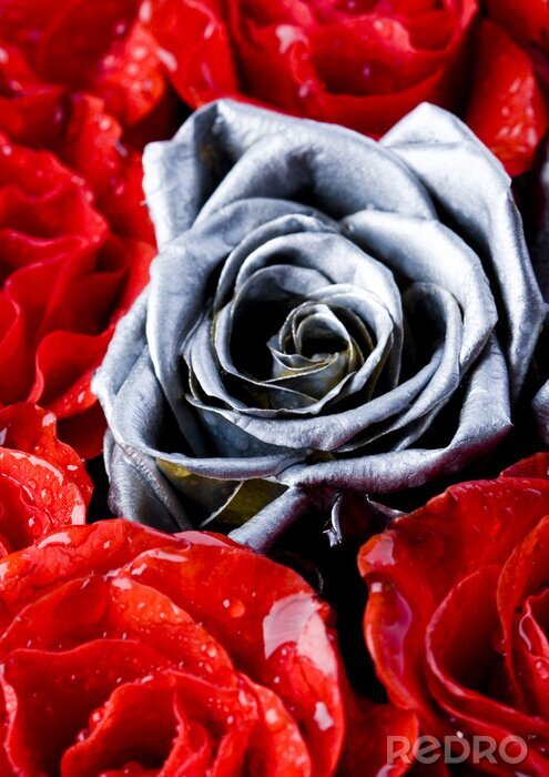 Papier peint  rose d'argent