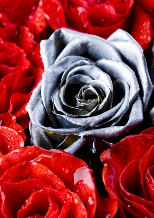 Papier peint  rose d'argent