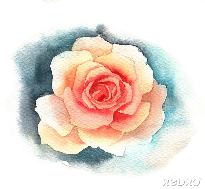 Papier peint  Rose-thé aquarelle